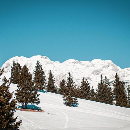 Chalet Neza Velika Planina Stahovica Esterno foto