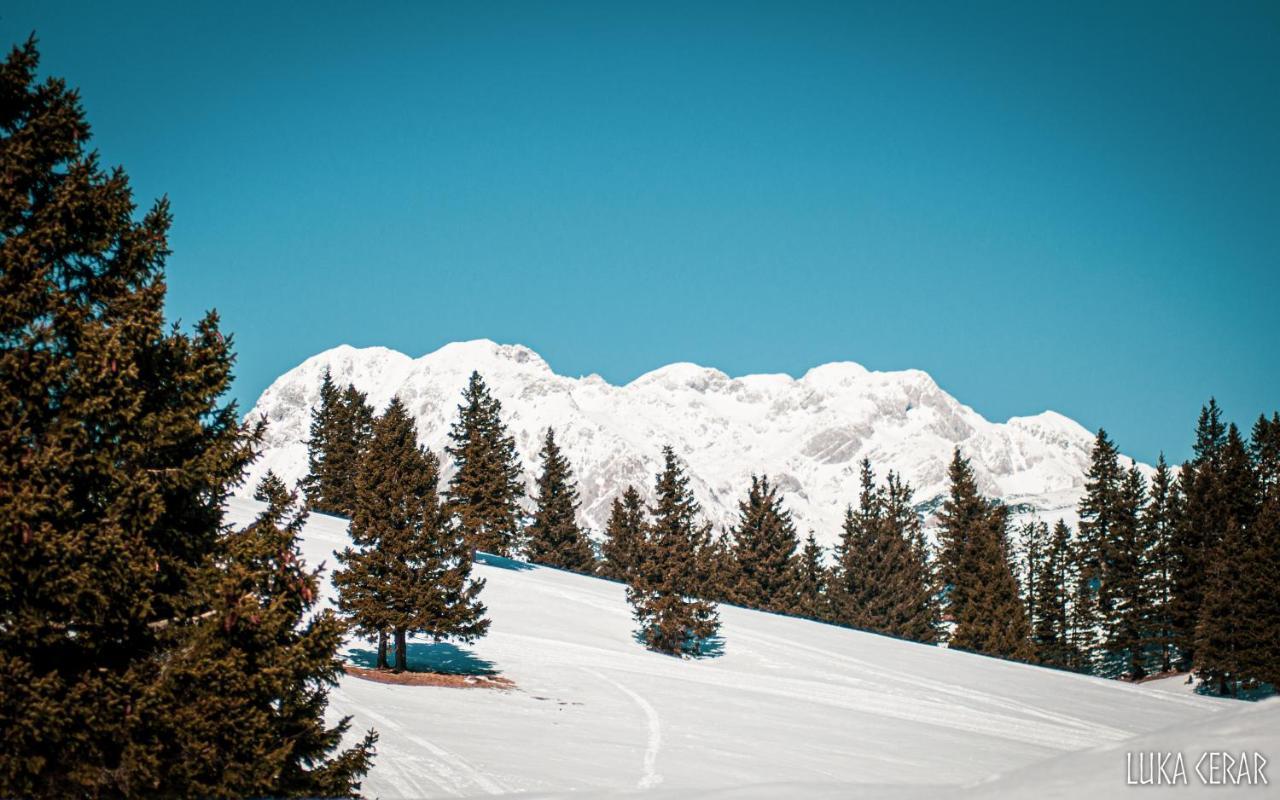Chalet Neza Velika Planina Stahovica Esterno foto